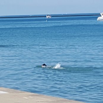 Ohio Street Beach - Beaches Near Me - Chicago, Illinois Ohio Street Beach - Beaches Near Me - Chicago, Illinois