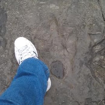 Dinosaur Footprints - A footprint - Parks Near Me - Holyoke, Massachusetts