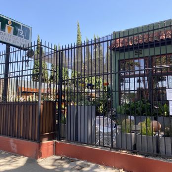 Potted - Outside - Home Decor Near Me - Los Angeles, California