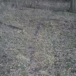 Acton Park - Trails are not paved and sometimes muddy