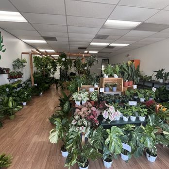 The Foliage Room - Nurseries & Gardening Near Me - Redlands , California The Foliage Room - Nurseries & Gardening Near Me - Redlands , California