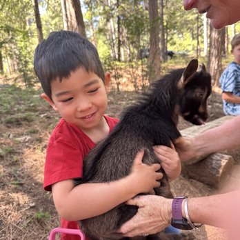 Goat Walks - Shepherdess assists guest with baby goat. - Petting Zoos Near Me