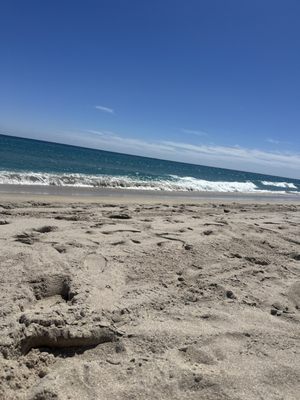 Atlantic Dunes Park by null