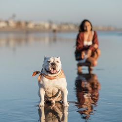 Lauren Scott Studios - Pet Portrait