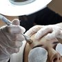 Photo of Ageless Perfection Skin Care Studio