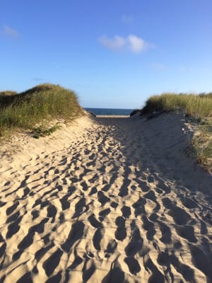 Edgartown South Beach by null