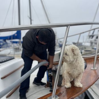 Performance Marine Services INC - Pumpout Services with our helper Rex!! We love animals!! - Boat Repair Near Me Performance Marine Services INC - Pumpout Services with our helper Rex!! We love animals!! - Boat Repair Near Me