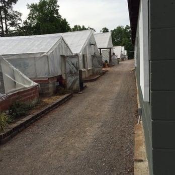 Bedford Greenhouses - Many greenhouses to explore - Nurseries & Gardening Near Me - Augusta, Georgia Bedford Greenhouses - Many greenhouses to explore - Nurseries & Gardening Near Me - Augusta, Georgia