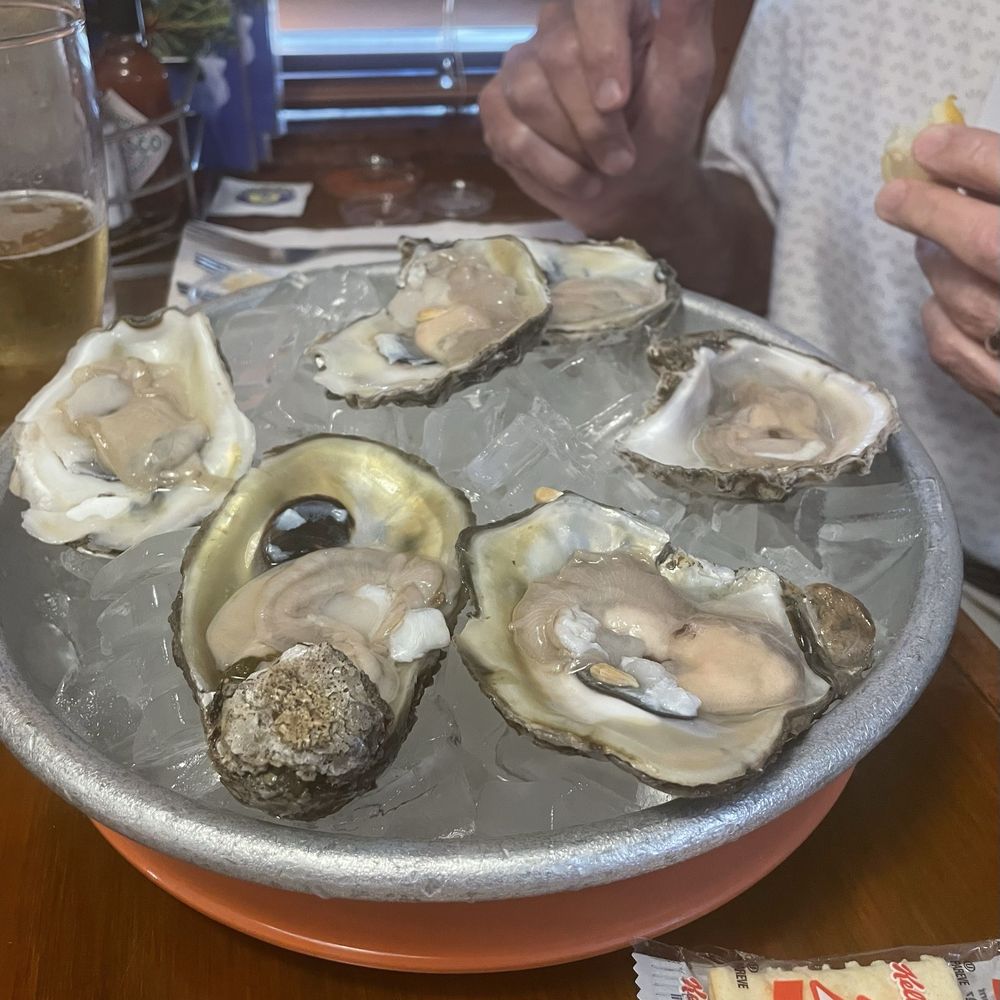 Rumors Restaurant - Oysters on the Half Shell. - Chicken Wings Near Me - Louisville, Kentucky Rumors Restaurant - Oysters on the Half Shell. - Chicken Wings Near Me - Louisville, Kentucky