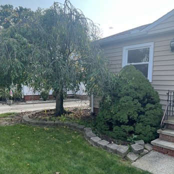 Landlord - Tree Services Near Me - Parma Heights, Ohio Landlord - Tree Services Near Me - Parma Heights, Ohio