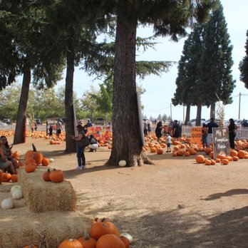 Boa Vista Orchards - Fruits & Veggies Near Me - Placerville, California