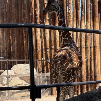 ABQ BioPark Zoo - Zoos Near Me - Albuquerque, New Mexico