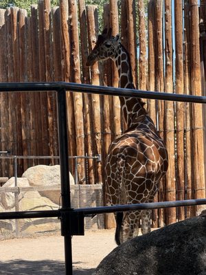 ABQ BioPark Zoo by null