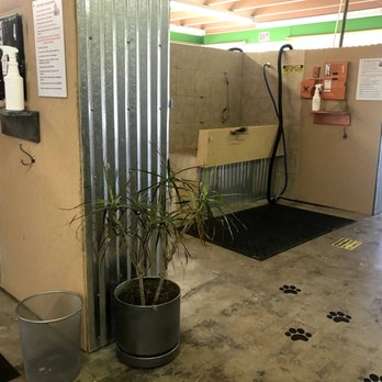 Self Dog Wash - Pet Groomers Near Me - Bountiful, Utah Self Dog Wash - Pet Groomers Near Me - Bountiful, Utah
