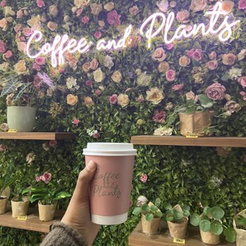 Coffee and Plants - Entrance - Coffee & Tea Near Me - Pasadena, California