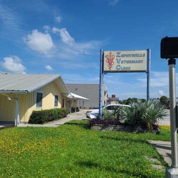 Zephyrhills Veterinary Clinic - Sign from the road - Veterinarians Near Me - Zephyrhills, Florida Zephyrhills Veterinary Clinic - Sign from the road - Veterinarians Near Me - Zephyrhills, Florida