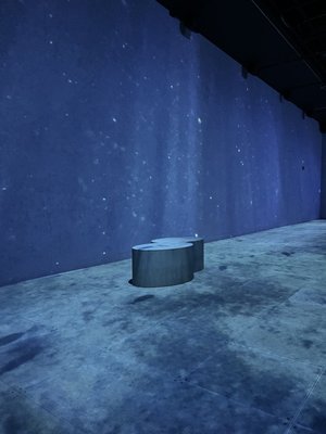 OASIS immersion by null