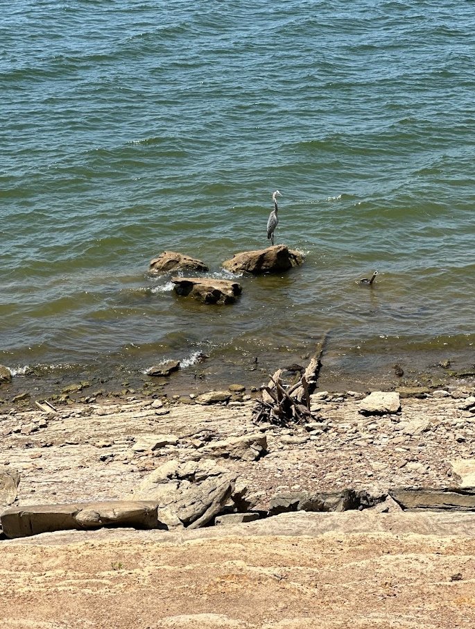 NORTHSHORE TRAIL Updated September 2024 43 Photos & 19 Reviews