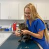Williamsburg Veterinary Clinic gift card
