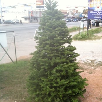 Montana Fresh - Noble Fir - Shopping Near Me - Austin, Texas Montana Fresh - Noble Fir - Shopping Near Me - Austin, Texas