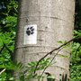 Photo of Wolfsweg