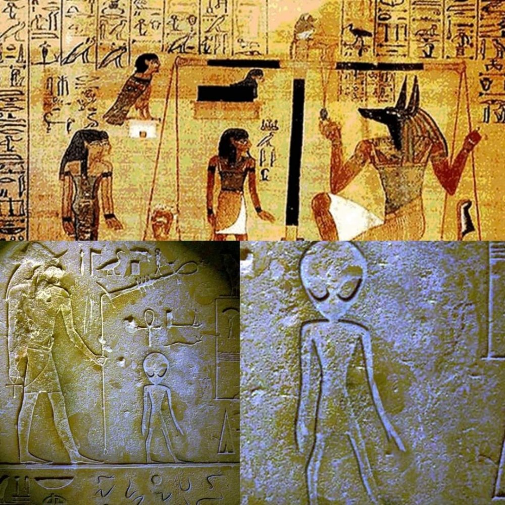 XLC Consulting - property tax consultant in Sacramento, CA