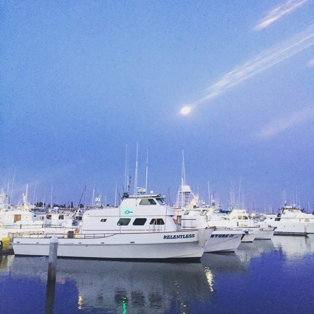 RELENTLESS SPORTFISHING 19 Photos Boat Charters 2803 Emerson St