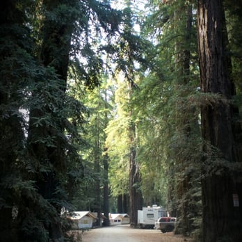 Fernwood Resort - The tent cabin campground - Hotels Near Me - Big Sur, California