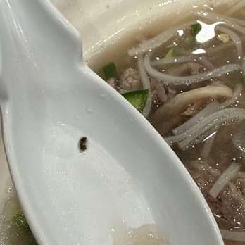 Pho So 1 - A brown bug looked like a roach - Vietnamese Near Me - Granada Hills, California