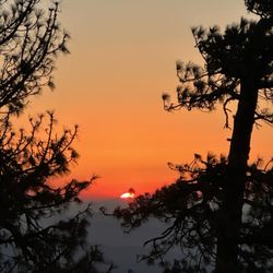 Table Mountain Campground