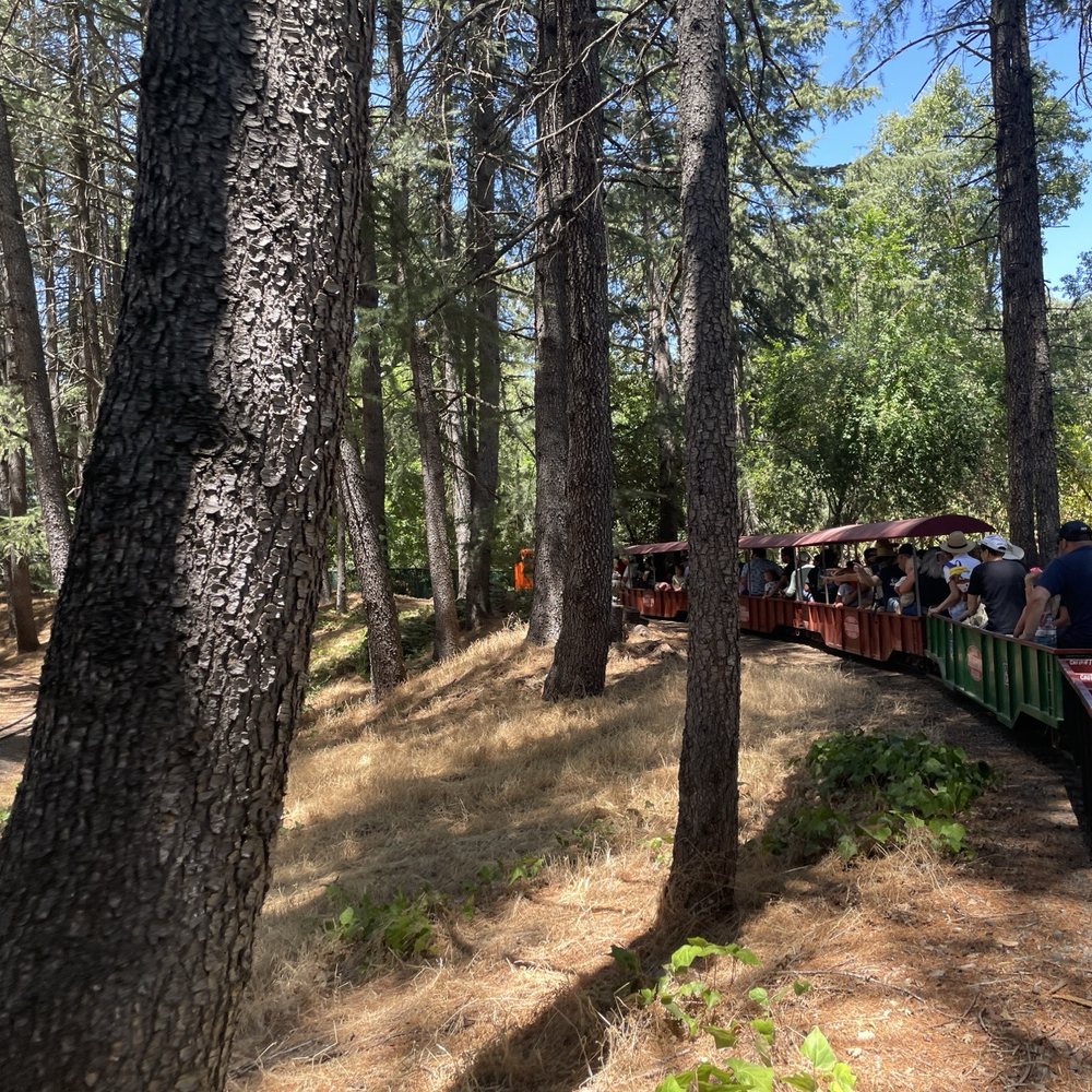 Sonoma TrainTown Railroad - Amusement Parks Near Me - Sonoma, California