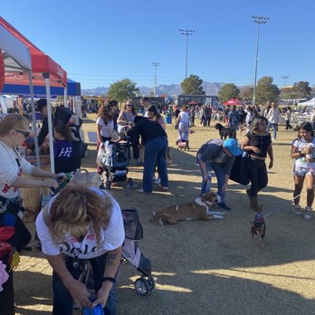 Paws In The Park - Look at all the doggies! - Dog Parks Near Me - Las Vegas, Nevada