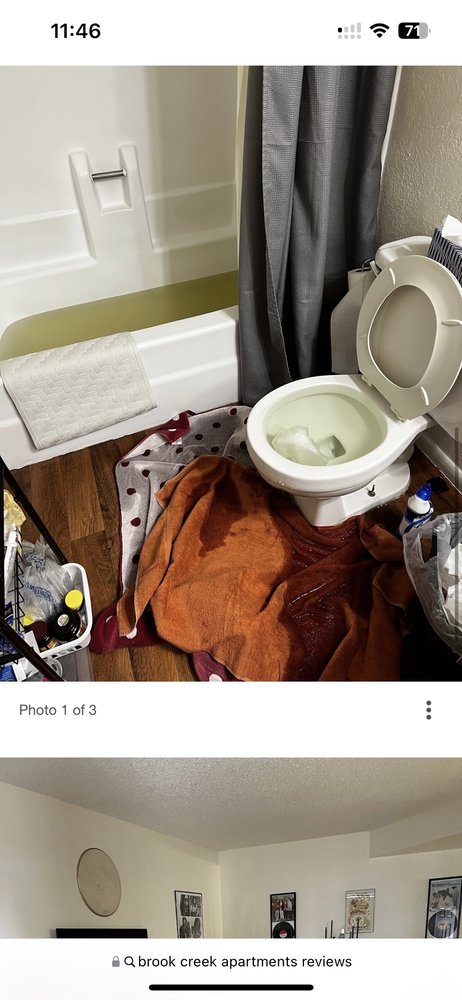 Brook Creek Apartments - property management company in Glendale, AZ