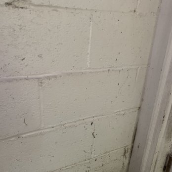 Central Pressure Wash - Pressure Washers Near Me - Atlanta, Georgia Central Pressure Wash - Pressure Washers Near Me - Atlanta, Georgia