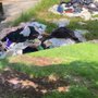 Spine Strong Junk Removal
