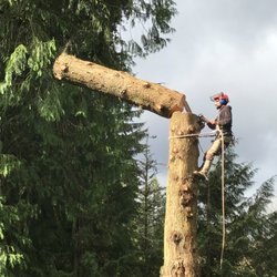 Swift Tree Care