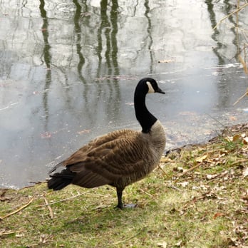 Branch Brook Park - Parks Near Me - Newark, New Jersey