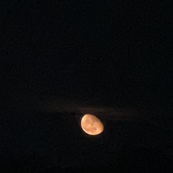 Elevate at Kitty Hawk - Red moon morning - Apartments Near Me - Converse, Texas