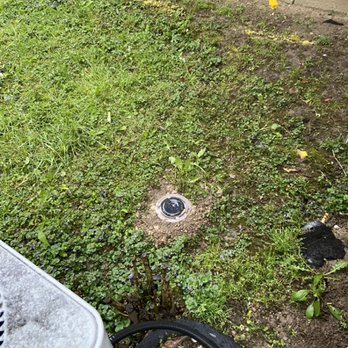 Anderson Termite and Pest Solutions - Termite bait colony elimination system - Pest Control Near Me Anderson Termite and Pest Solutions - Termite bait colony elimination system - Pest Control Near Me