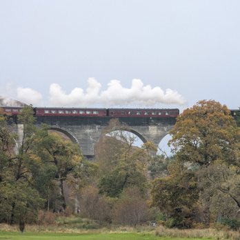 The Hairy Coo - The Hogwarts Express train from Harry Potter at the Glenfinnan Viaduct - Tours Near Me - Edinburgh, EDH