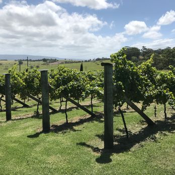 Cupitt's Estate - Vineyard - Restaurants Near Me - Ulladulla, NSW