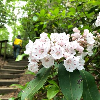 Mason Neck State Park - Bayview Trail - Parks Near Me - Lorton, Virginia