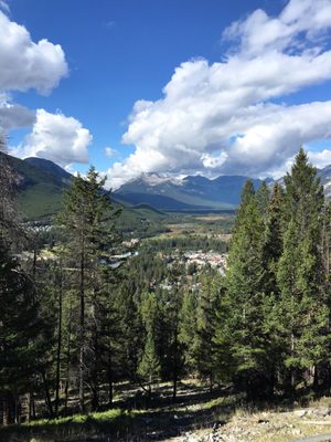 Tunnel Mountain Trail by null