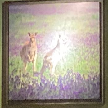 Outback Steakhouse - Kangaroos are cool mate - Steakhouses Near Me - Matthews, North Carolina Outback Steakhouse - Kangaroos are cool mate - Steakhouses Near Me - Matthews, North Carolina