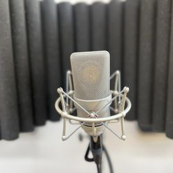TheseVibez Studio - Neumann TLM 103