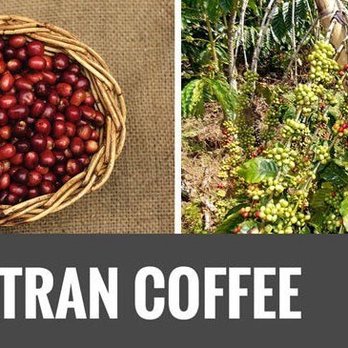 Alcona Coffee Company - Exotic coffee available - Delis Near Me - Harrisville, Michigan Alcona Coffee Company - Exotic coffee available - Delis Near Me - Harrisville, Michigan