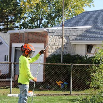 Nelson's Hardscape & Tree Service - Hard workers / Nelson's tree service - Tree Services Near Me