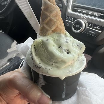 Scoop - Mint Cookies & Cream - Ice Cream & Frozen Yogurt Near Me - Richmond, Virginia