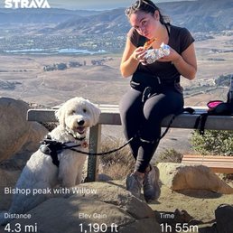 Sabs and Willow having some pizza at the peak.