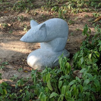 九龍寨城公園 - Rat - Parks Near Me - Hong Kong, HK